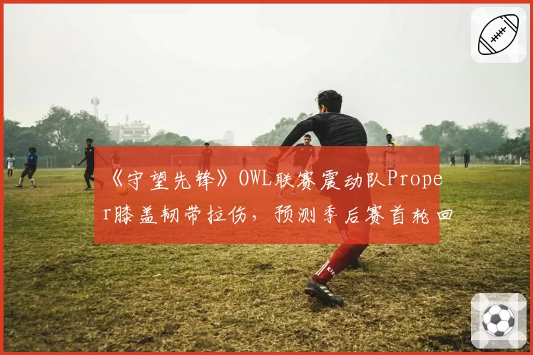 《守望先锋》OWL联赛震动队Proper膝盖韧带拉伤,预测季后赛首轮回归
